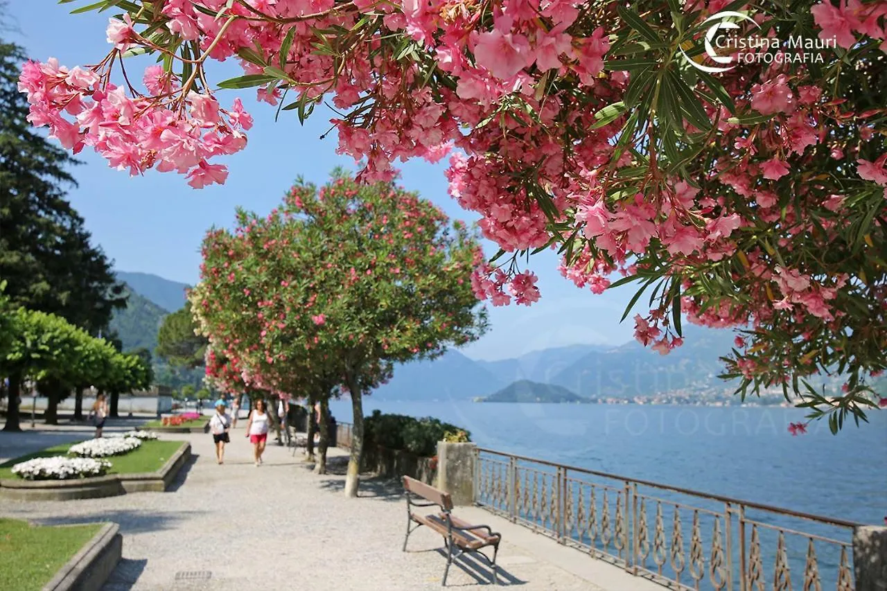 Bellagio Dreams Apt, Pool, With Private Garden, Near Lake 0*,  Italien